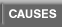 Causes